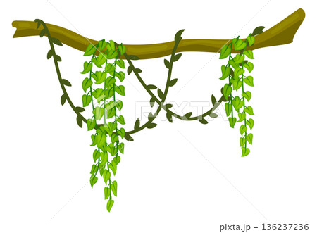 Tropical tree with hanging green vine cartoon icon 136237236