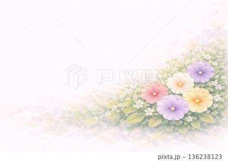 パンジーシリーズ：左右にパンジーを配した水彩背景 136238123