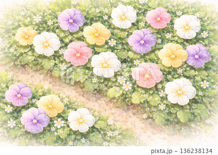 パンジーシリーズ：雨に濡れる情緒的なパンジー背景 136238134