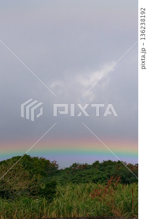 緑の森の上に低くかかる虹の風景 136238192