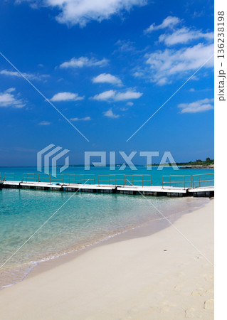 青空の下、エメラルドブルーの海と桟橋のある南国ビーチ 136238198