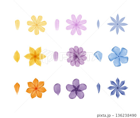 Collection of vibrant watercolor flowers and individual petals arranged neatly on a white background. Features various shades of yellow, orange, purple, and blue blossoms and parts. 136238490