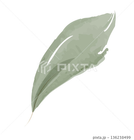 A single, soft green watercolor leaf floats on a plain white background. The hand-painted style shows delicate color variations, creating a natural and serene botanical illustration. 136238499