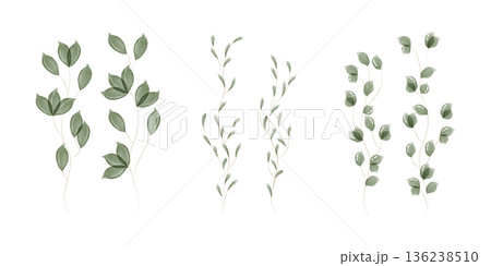 A collection of delicate green watercolor leaves. Three distinct botanical foliage designs are hand painted on a clean white background, showcasing nature gentle beauty. A collection of delicate green watercolor leaves. Three distinct botanical foliage designs are hand painted on a clean white background, showcasing nature gentle beauty. 136238510