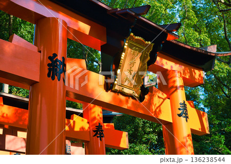 京都　伏見稲荷大社　美しい朱色の鳥居（京都府京都市伏見区） 136238544