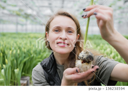Woman planting flower bulbs in soil for growing in a greenhouse 136238594