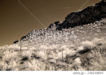 Sonora Desert Arizona in Infrared Sonora Desert Arizona in Infrared 136238607