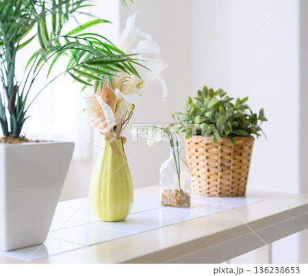 テーブル上の植物と花 テーブル上の植物と花 136238653