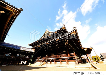 京都府　東本願寺・御影堂（重要文化財） 京都市 下京区 常葉町　2022年2月 136238899