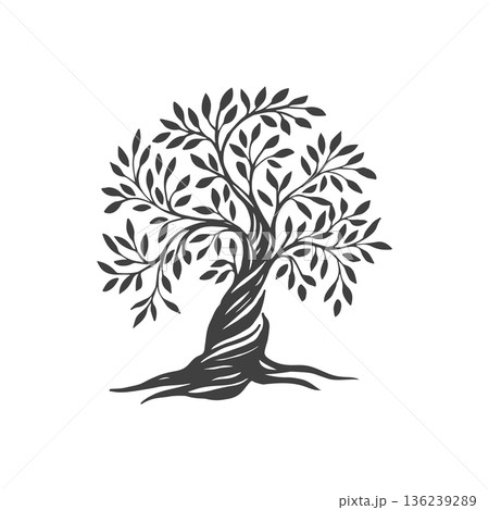 Hand draw abstract Olive tree. 136239289