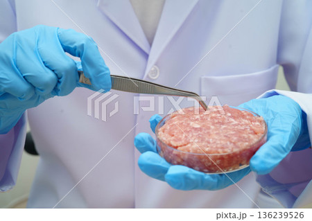 Scientist holding Petri dish with meat in science laboratory for food product development. Scientist holding Petri dish with meat in science laboratory for food product development. 136239526