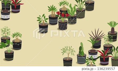 日光浴する観葉植物の壁紙素材。imacのスクリーン画面の比率で作成。 136239557