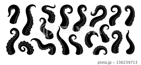 Squid tentacles with suction cups. Vector curled octopus arms for nautical design, underwater fantasy monster and marine themes 136239713