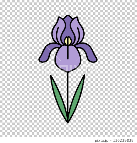 Simple iris color icon 136239839