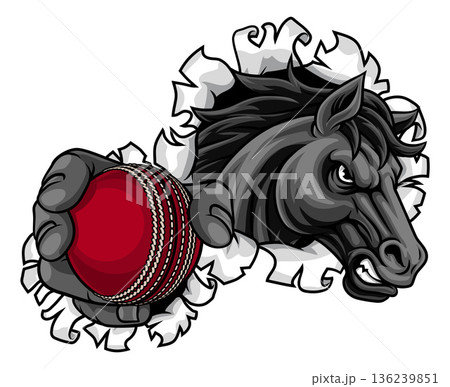 Horse Mustang Cricket Sports Team Mascot 136239851