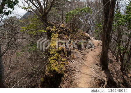 両神山登山、埼玉県 両神山登山、埼玉県 136240054