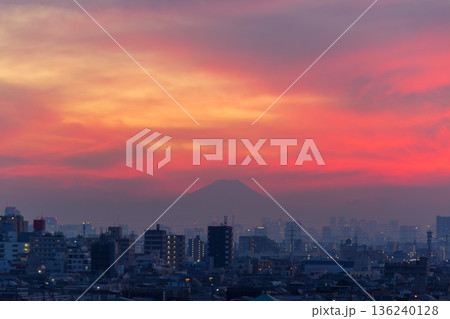 東京の街並みと富士山の夕景 136240128