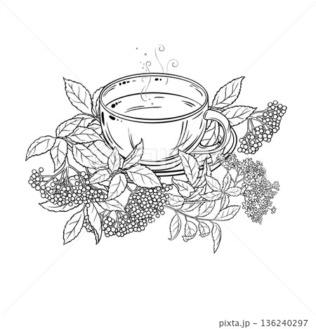 Cup of Elderberry Tea Outline Illustration. Cup of Elderberry Tea Outline Illustration. 136240297