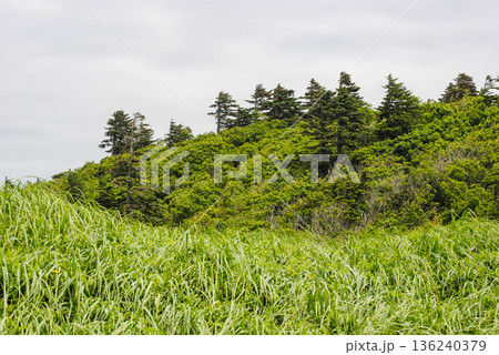 Vibrant green hills rise majestically along the Kuril Islands' coastline on a sunny summer day. Vibrant green hills rise majestically along the Kuril Islands' coastline on a sunny summer day. 136240379
