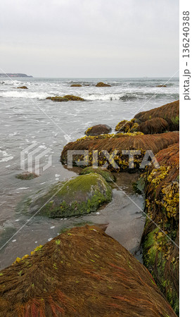 Moss-covered boulders adorn the sandy beach of a marine bay on the Kuril Islands. 136240388