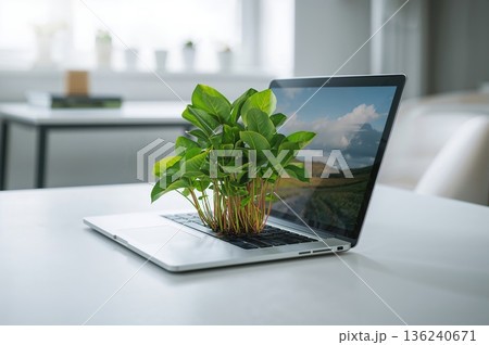 Green houseplant growing through laptop keyboard in bright modern workspace surreal concept 136240671