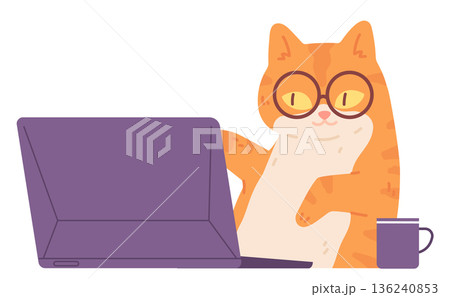 Smart cat work on laptop. Pet programmer in glasses Smart cat work on laptop. Pet programmer in glasses 136240853
