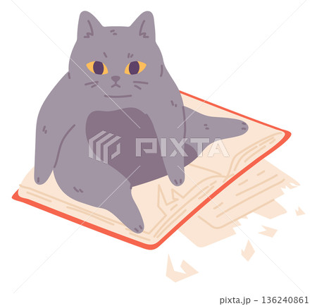 Cat damaged book. Pet problem color icon 136240861