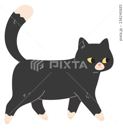 Walking cat. Cute black fur active pet 136240885