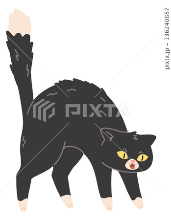 Scared cat hissing. Angry pose. Pet character 136240887