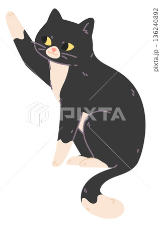 Cat touch something with paw. Cute pet pose 136240892