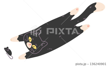 Cat catching mouse. Jumping animal. Hunting pet Cat catching mouse. Jumping animal. Hunting pet 136240901