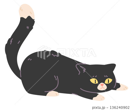 Cat ready to jump pose with lifted up tail 136240902