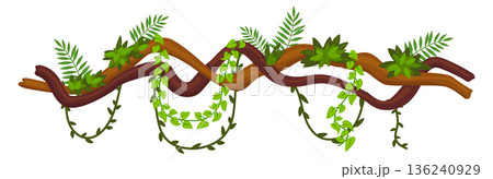 Exotic flora border. Jungle botany decorative element 136240929