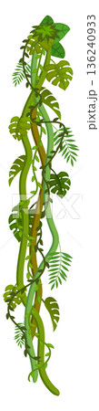 Tropical decoration greenery. Jungle botany cartoon border Tropical decoration greenery. Jungle botany cartoon border 136240933