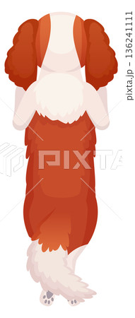 Cute spaniel rear view. Standing cartoon pet 136241111