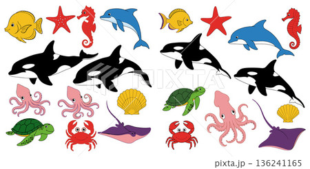 Collection of marine animals including cartoon orcas, dolphins, starfish, and shellfish, scattered randomly 136241165