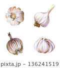 Watercolor illustration featuring four garlic bulbs on white background. Versatile artistic depiction suitable for packaging and recipe cards, ideal for branding and culinary uses 136241519