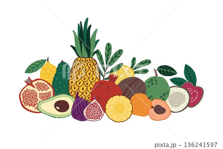 Fruits composition. Exotic whole and half fresh harves. Banana, fresh mango and pineapple. Juicy citrus and coconut. , hand drawn avocado, doodle kiwi. Vector cartoon flat illustration 136241597