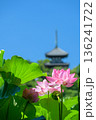 三溪園横浜 136241722