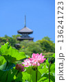 横浜三溪園 136241723