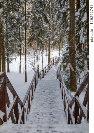 The beauty of the winter landscape The beauty of the winter landscape 136241745