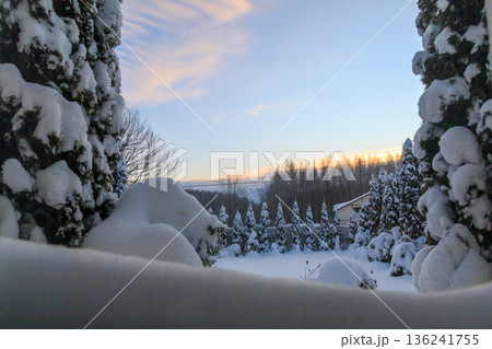 The beauty of the winter landscape  136241755