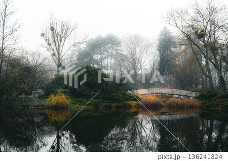 Foggy autumn park with lake and wooden footbridge 136241824
