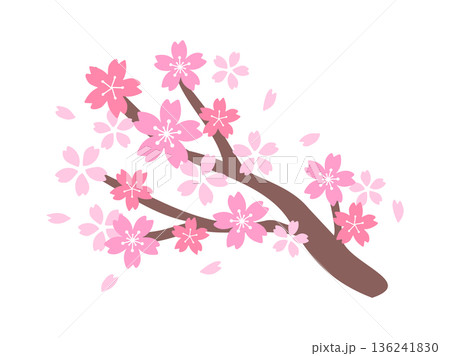 シンプルな桜の枝のイラスト シンプルな桜の枝のイラスト 136241830