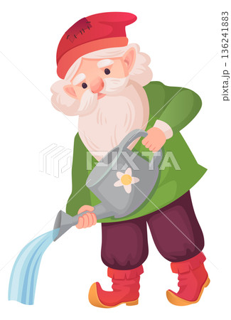Old dwarf with watering can. Gardening gnome character 136241883