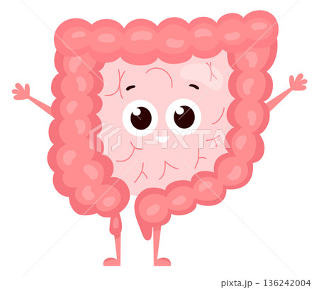 Healthy intestine mascot. Cartoon happy digestive system Healthy intestine mascot. Cartoon happy digestive system 136242004