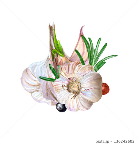 Warm rustic kitchen illustration. Expressive watercolor depicting herbal kitchen warmness. Bright watercolor hand-drawn artwork illustrating with fresh herbs and garlic preparations 136242602