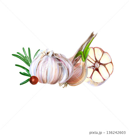 Modern watercolor scene of garlic and rosemary. Horizontal watercolor artwork showing garlic surrounded by rosemary. Stylish hand-drawn depiction of garlic and rosemary perfect for food blog headers 136242603