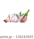 Garlic and rosemary watercolor scene emphasizing eco conscious cooking. Eco friendly cooking. Artistic watercolor of garlic and herbs illustrating sustainable meal preparation principles 136242605