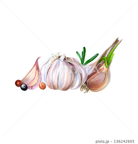 Garlic and rosemary watercolor scene emphasizing eco conscious cooking. Eco friendly cooking. Artistic watercolor of garlic and herbs illustrating sustainable meal preparation principles Garlic and rosemary watercolor scene emphasizing eco conscious cooking. Eco friendly cooking. Artistic watercolor of garlic and herbs illustrating sustainable meal preparation principles 136242605